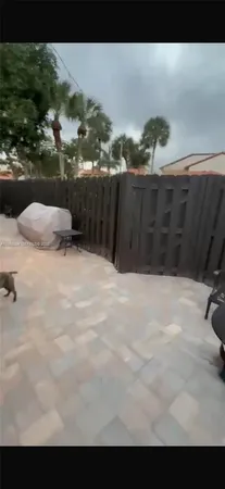 a view of a backyard