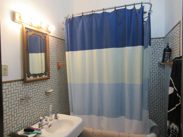 $1,245,000 | 3315 South Wood Street, Chicago, IL 60608