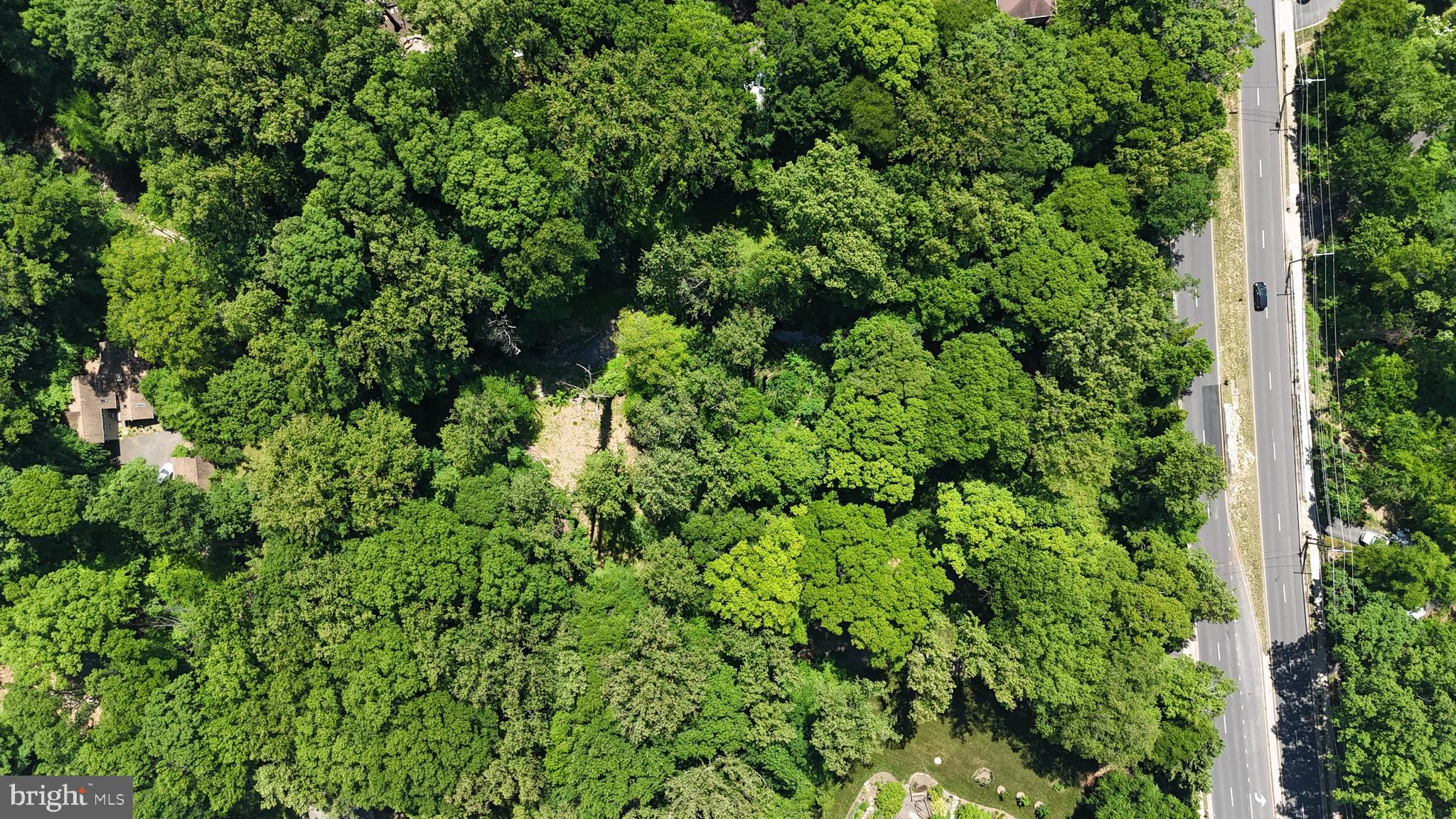 6577 Braddock Road Alexandria, VA 22312 - Photo 11 of 12 a view of a lush green forest