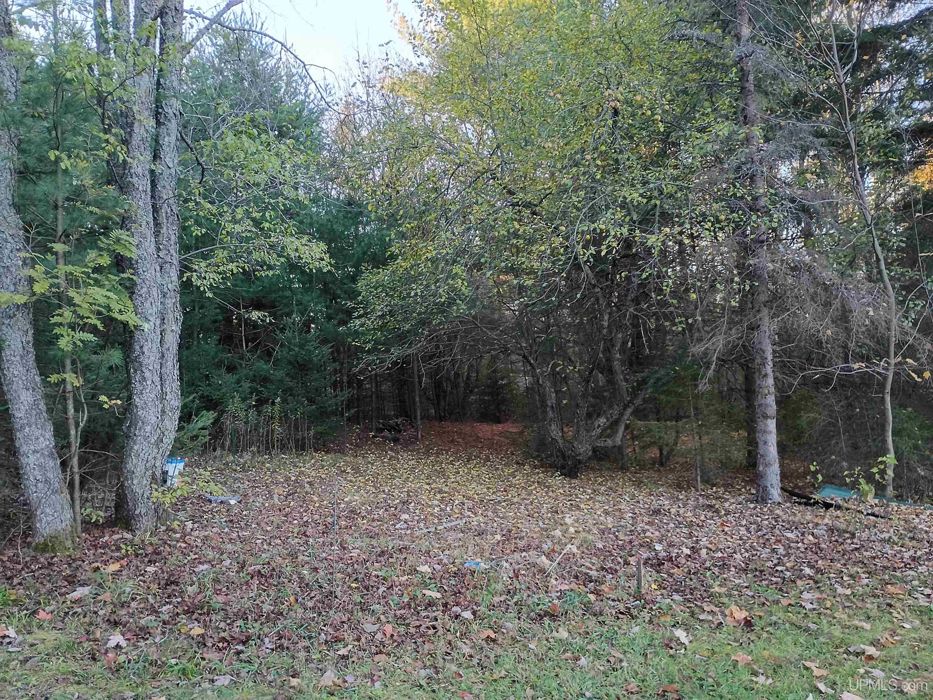 120 Town Line Road Skandia, MI 49885 - Photo 33 of 38