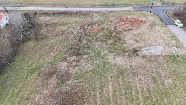 a view of a dry yard