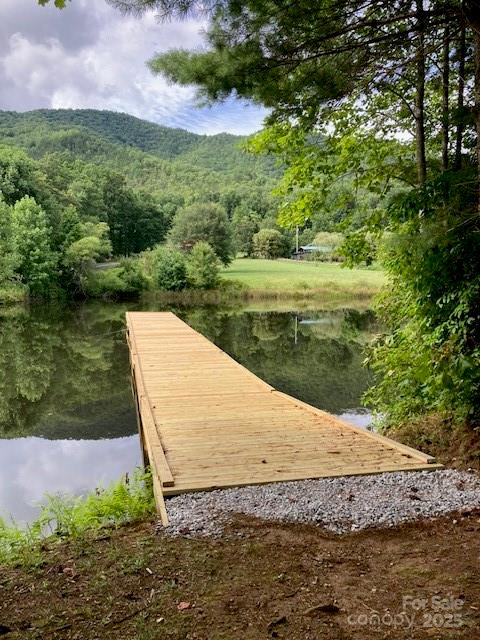 804 Ledbetter Road Robbinsville, NC 28771 - Photo 1 of 27 a view of a pathway both side of river and yard