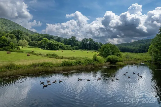 a view of a lake with a yard