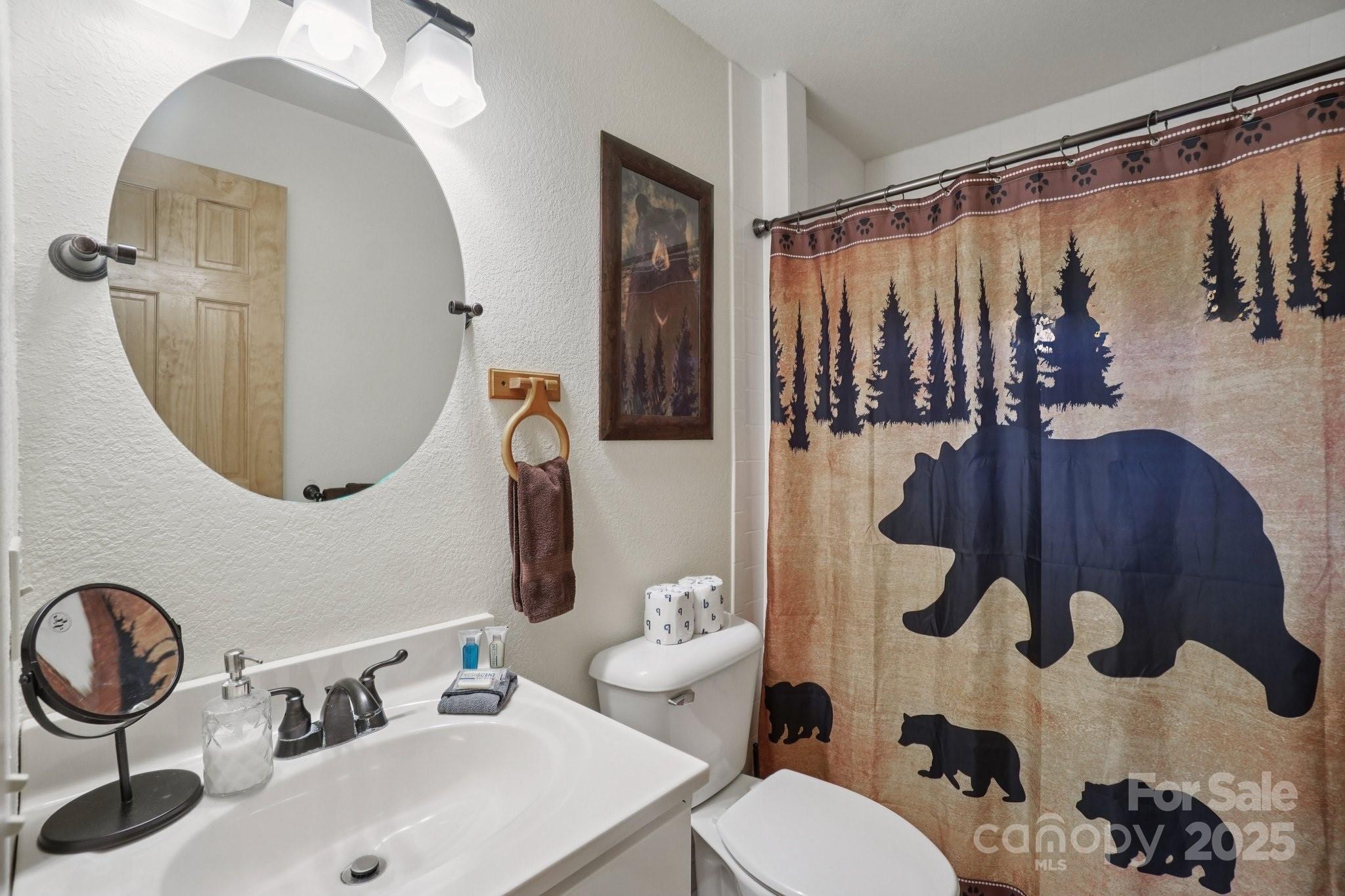 804 Ledbetter Road Robbinsville, NC 28771 - Photo 21 of 27 a bathroom with a sink mirror and toilet