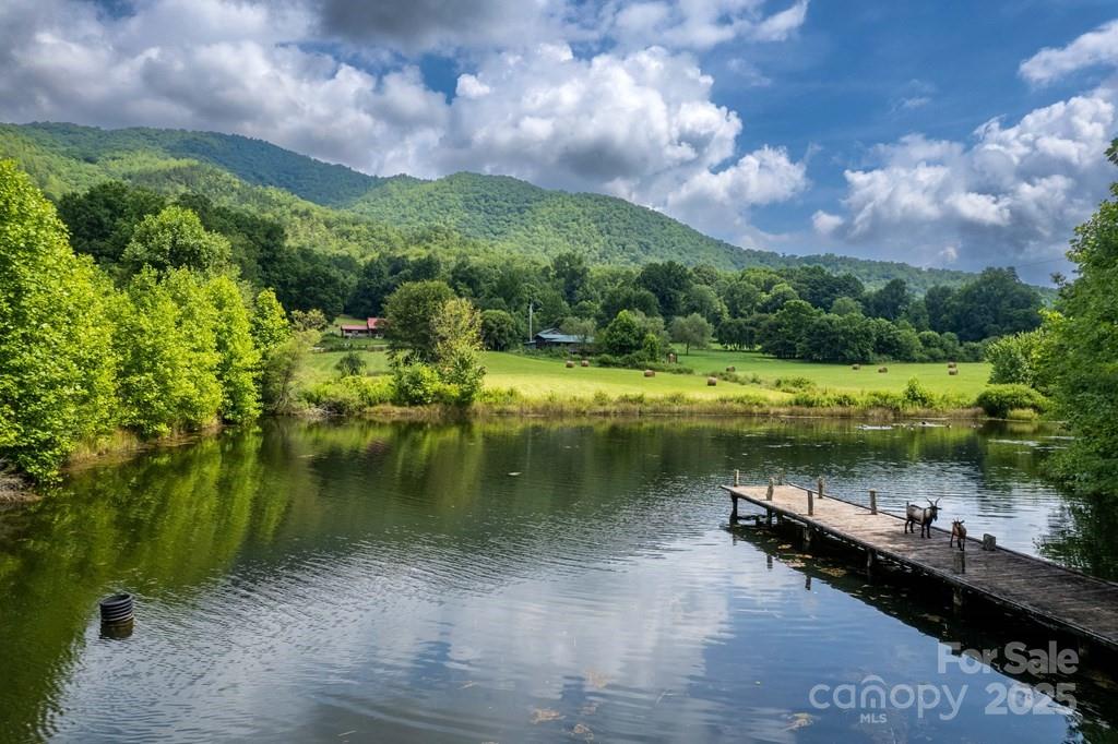804 Ledbetter Road Robbinsville, NC 28771 - Photo 7 of 27 a view of a lake with a yard
