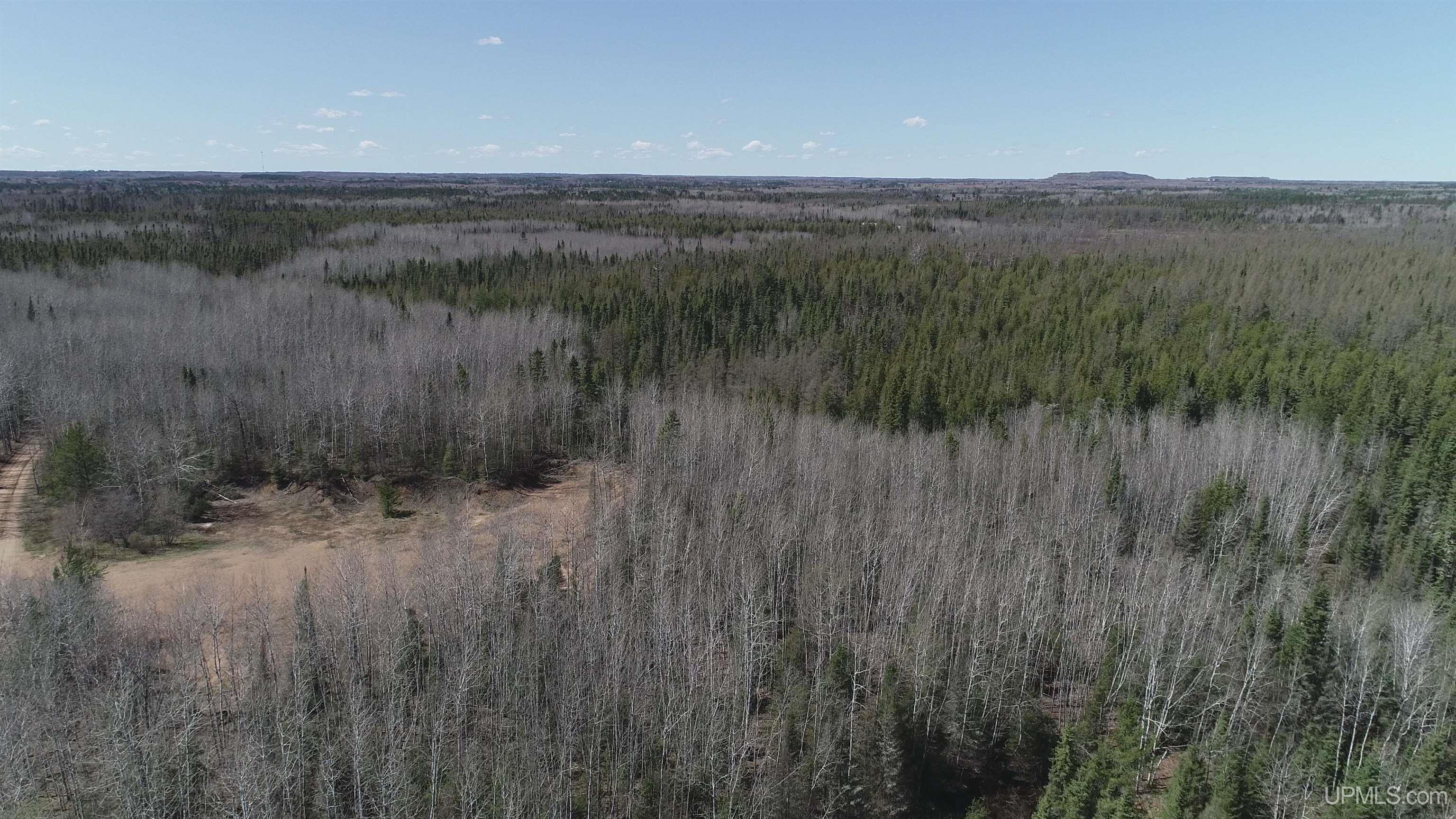 252-acres 252-acres Helen Lake Road Ishpeming, MI 49849 - Photo 3 of 11