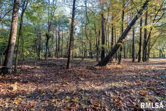 $80,000 | 0 Baptist Camp Road, Carterville, IL 62918