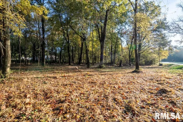 $80,000 | 0 Baptist Camp Road, Carterville, IL 62918