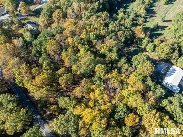 $80,000 | 0 Baptist Camp Road, Carterville, IL 62918