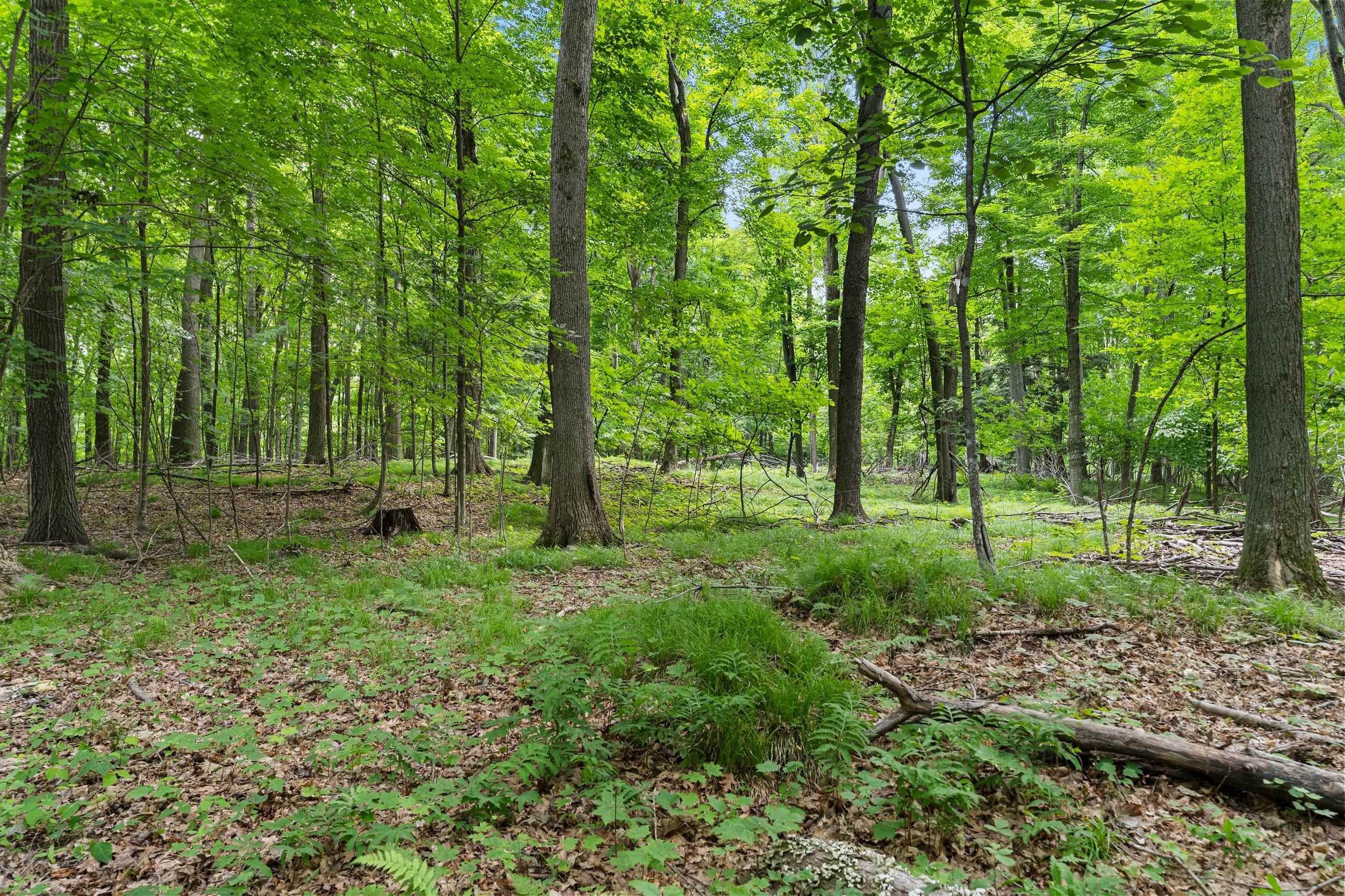 200800 Canopy Lane Rosholt, WI 54473 - Photo 24 of 90