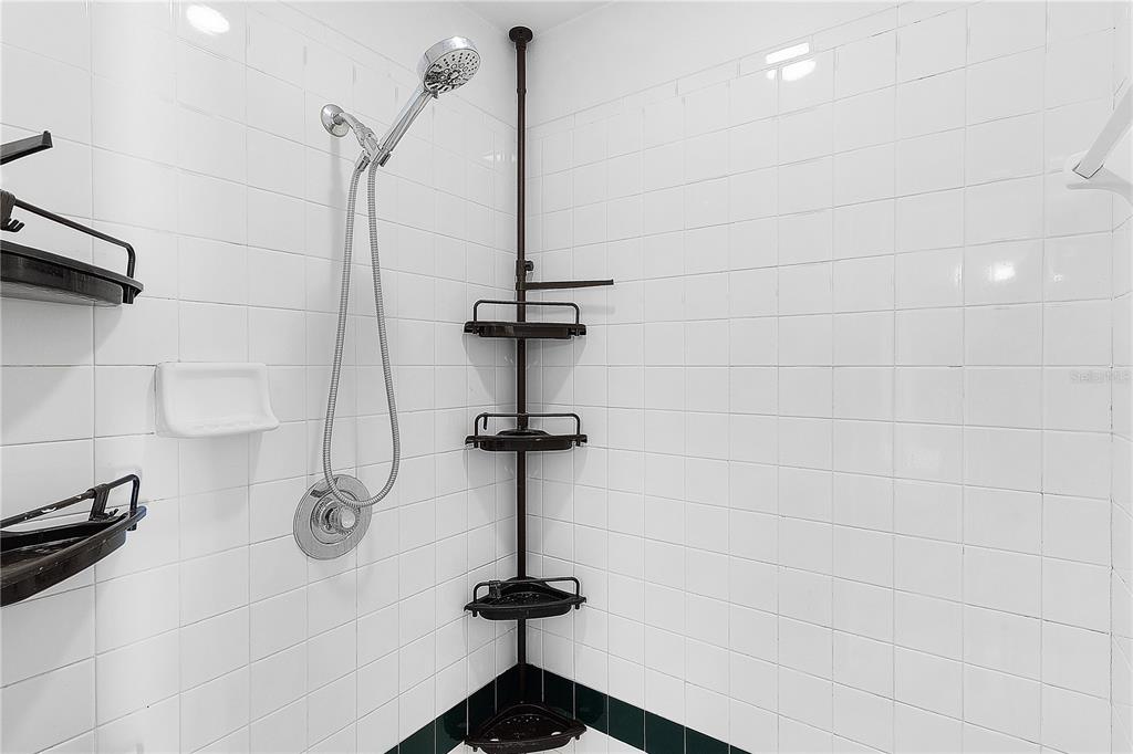 40045 Palm Street Lady Lake, FL 32159 - Photo 47 of 50 a bathroom with a shower