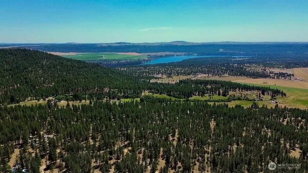 a view of a pathway with a lake