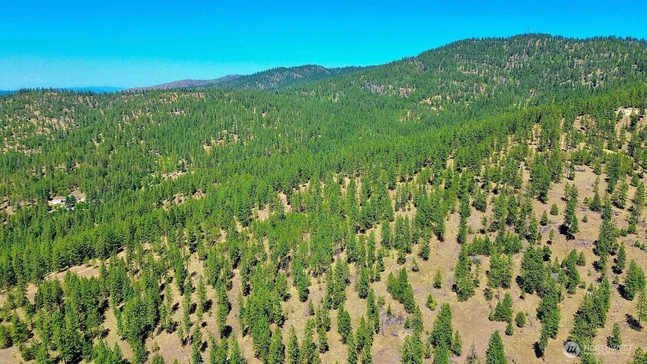 5687-bb Corkscrew Canyon Road Tumtum, WA 99034 - Photo 14 of 19 a view of a lush green field