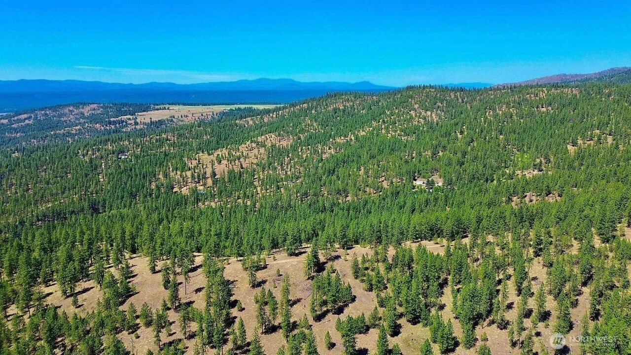 5687-bb Corkscrew Canyon Road Tumtum, WA 99034 - Photo 4 of 19 a view of a green field