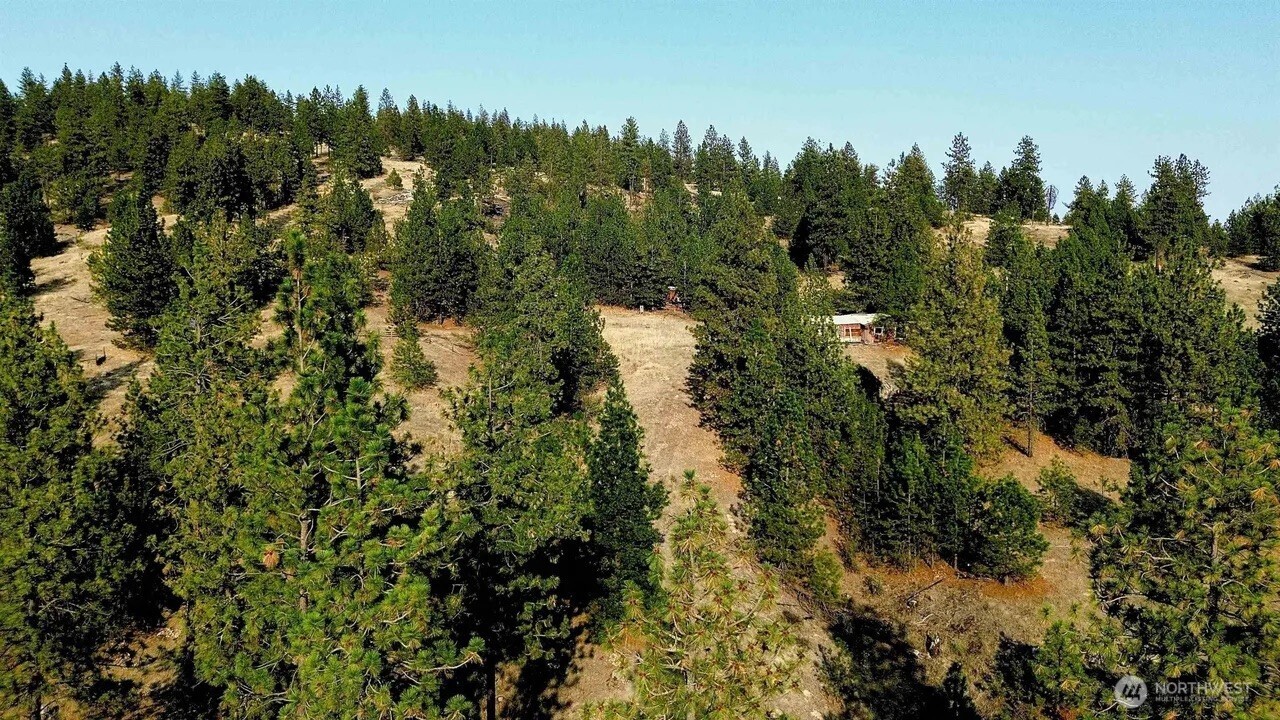 5687-bb Corkscrew Canyon Road Tumtum, WA 99034 - Photo 8 of 19 a view of a yard