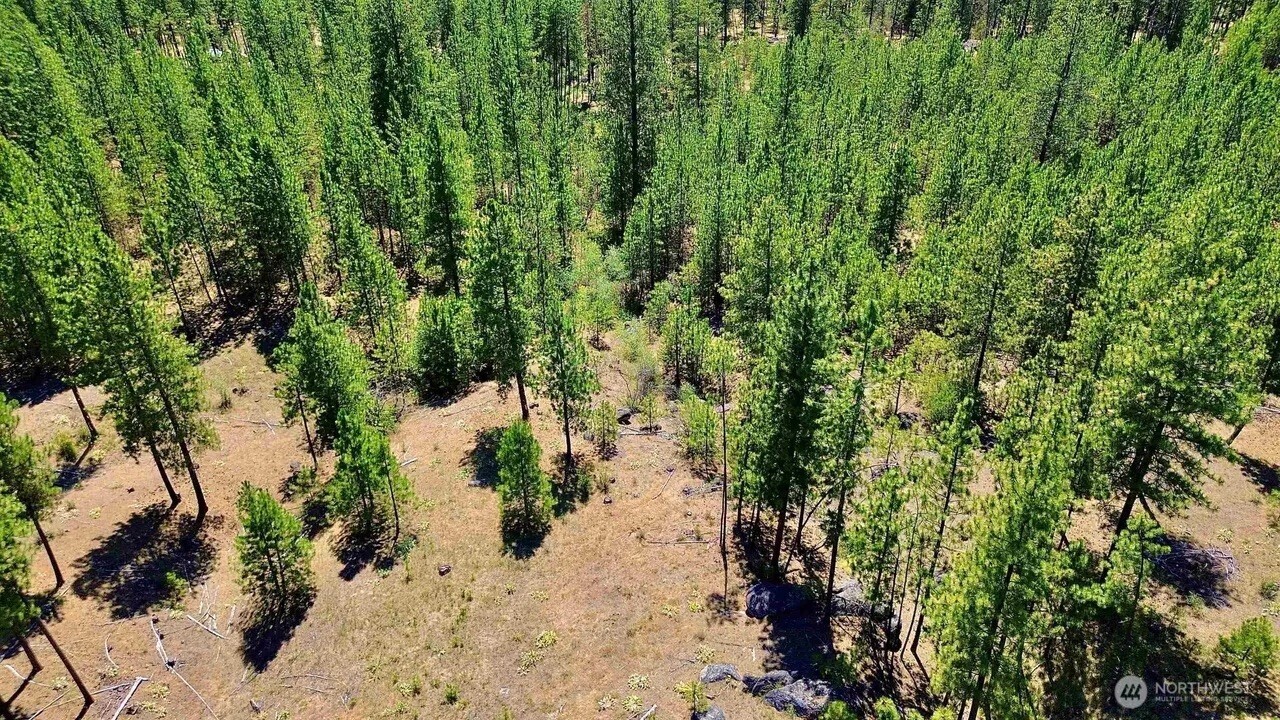 5687-bb Corkscrew Canyon Road Tumtum, WA 99034 - Photo 9 of 19 a view of a yard