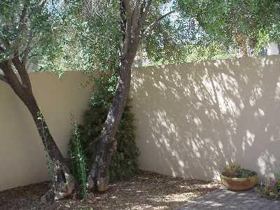2769 West Anklam Road, Unit A Tucson, AZ 85745 - Photo 2 of 10 Gallery Image 2
