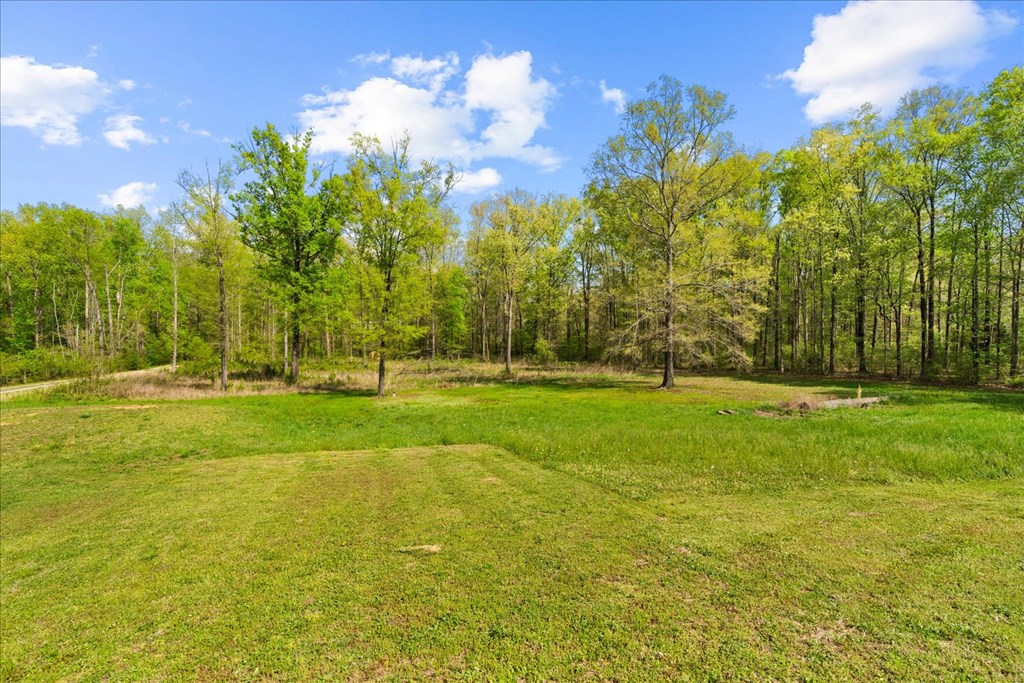 234 Wilson Road Chatsworth, GA 30705 - Photo 35 of 51 Gallery Image 35