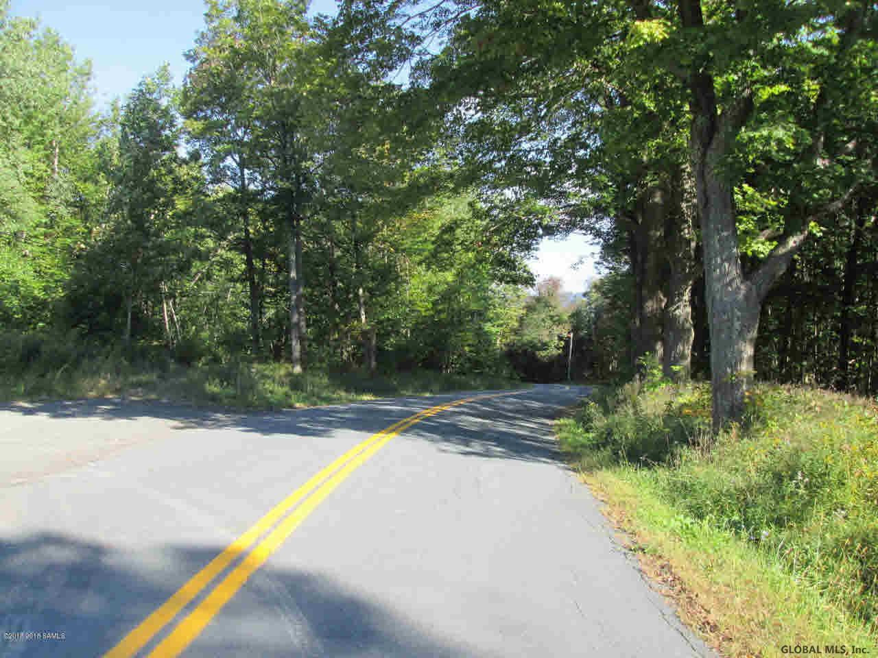 0 Cold Spring Road Petersburgh, NY 12138 - Photo 3 of 8 Photo 3