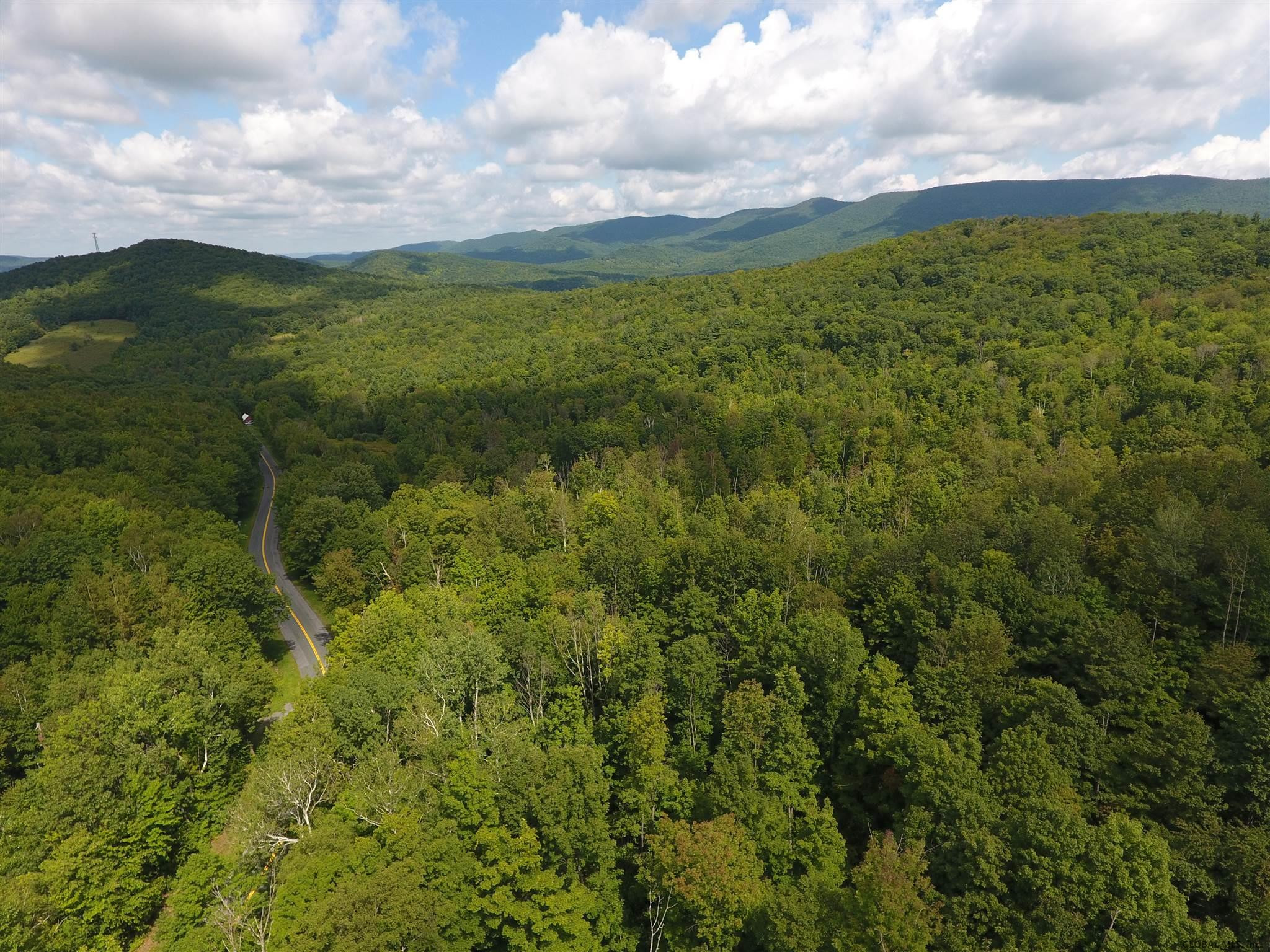 0 Cold Spring Road Petersburgh, NY 12138 - Photo 8 of 8 Photo 8