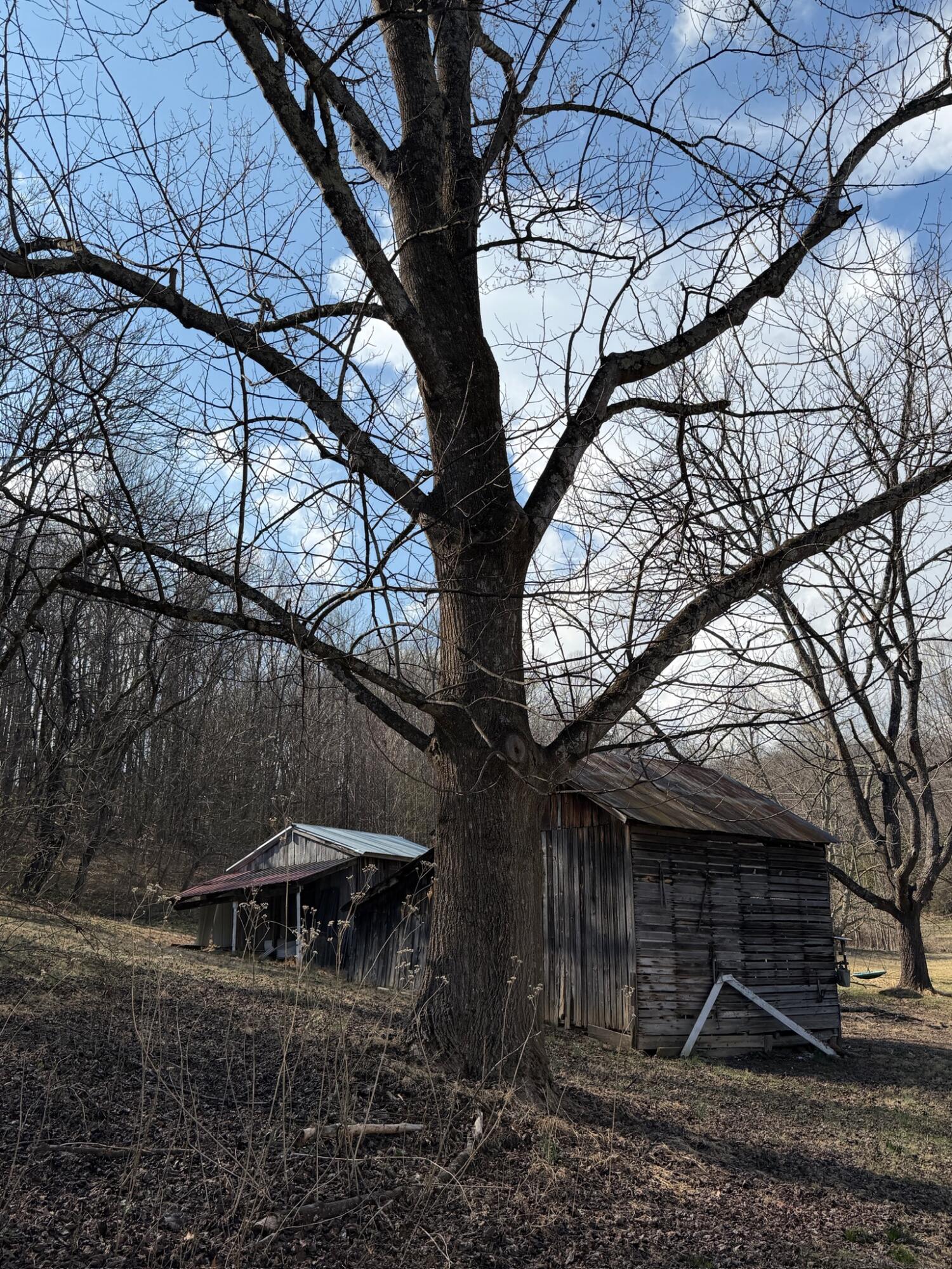 3045 Mountain Pass Road Troutville, VA 24175 - Photo 17 of 19 a backyard of a house with lots of trees and plants