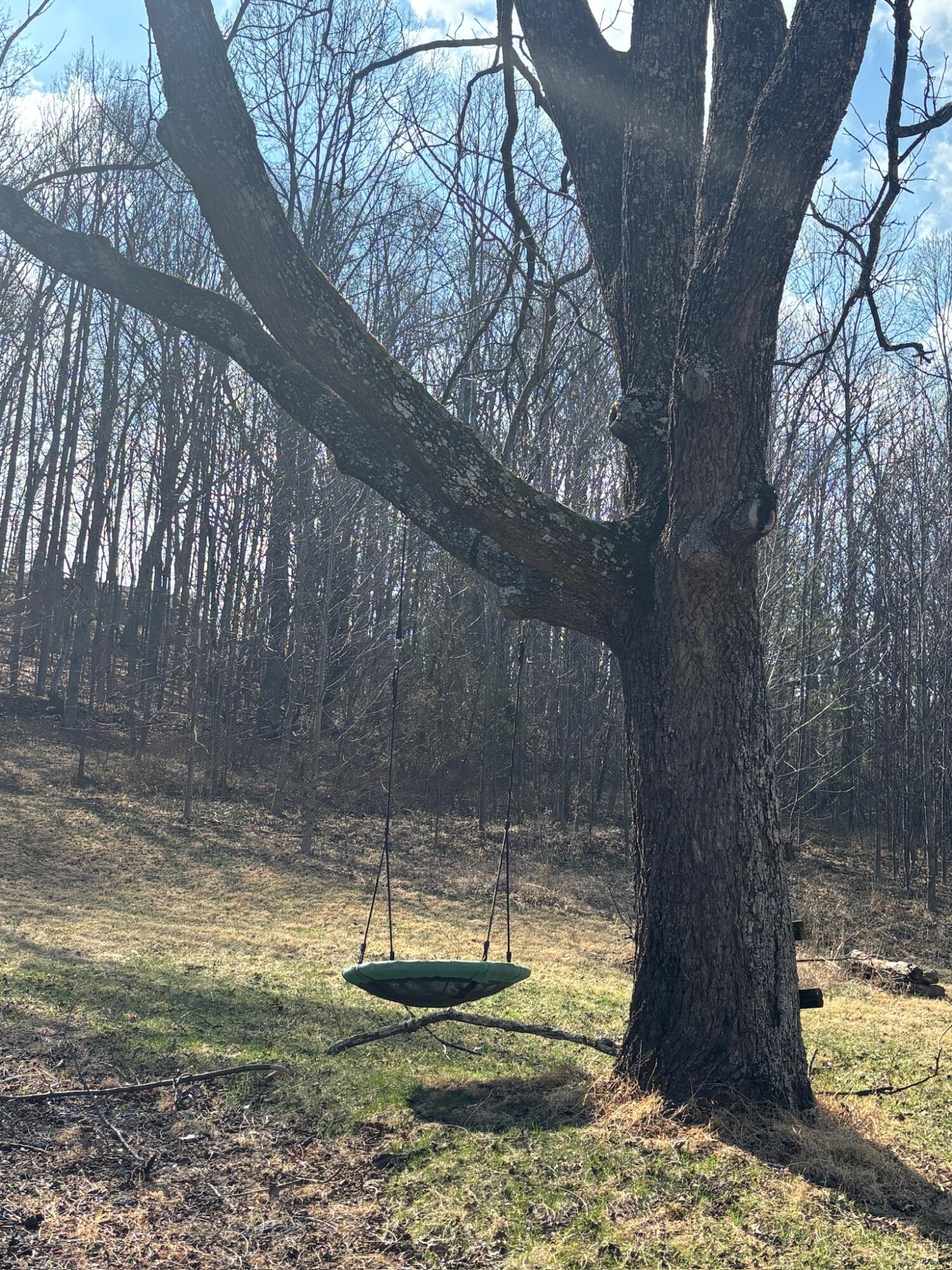 3045 Mountain Pass Road Troutville, VA 24175 - Photo 19 of 19 a view of a wooden house with a yard