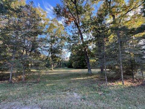 7435 Sweeter Road Twin Lake, MI 49457 - Photo 1 of 4 Sweeter