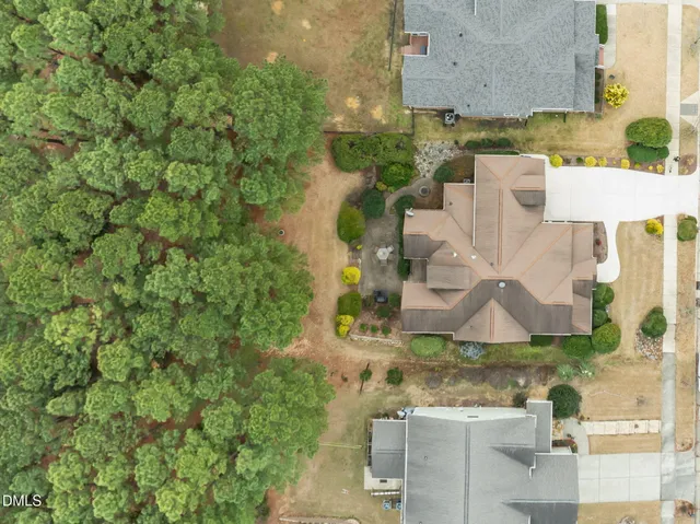 a view of a chairs and a potted plant