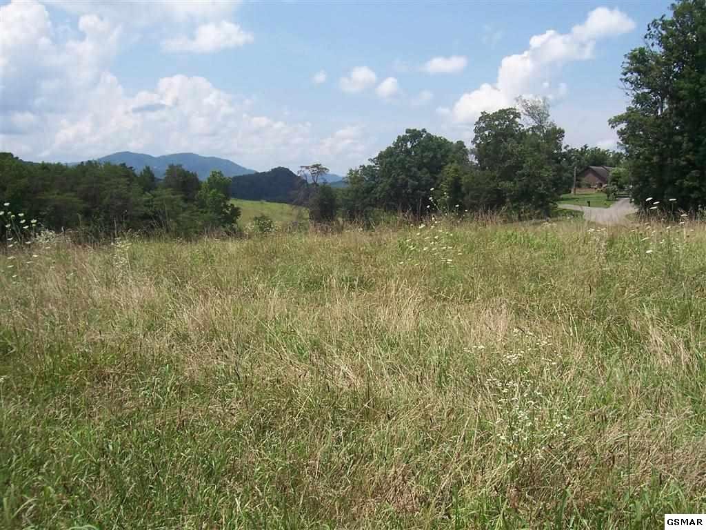 7 Mortar Road Sevierville, TN 37876 - Photo 1 of 6