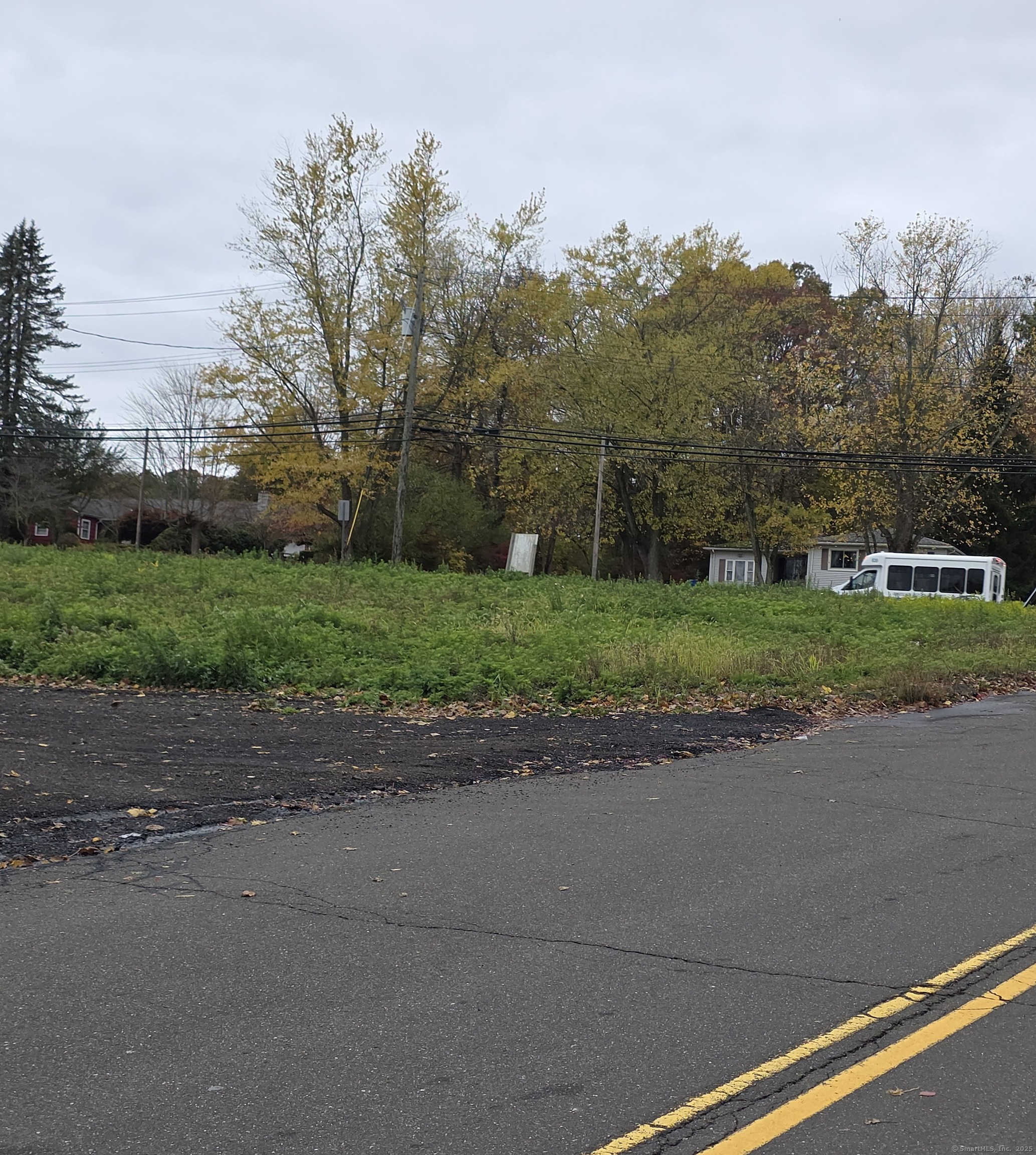 a view of a yard with a street