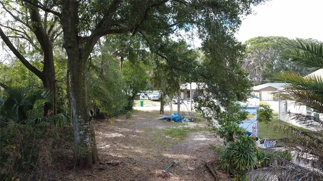 a view of dirt yard with a large tree