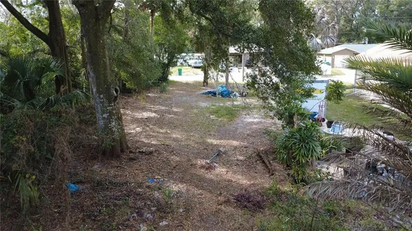 a view of a yard with plants and trees