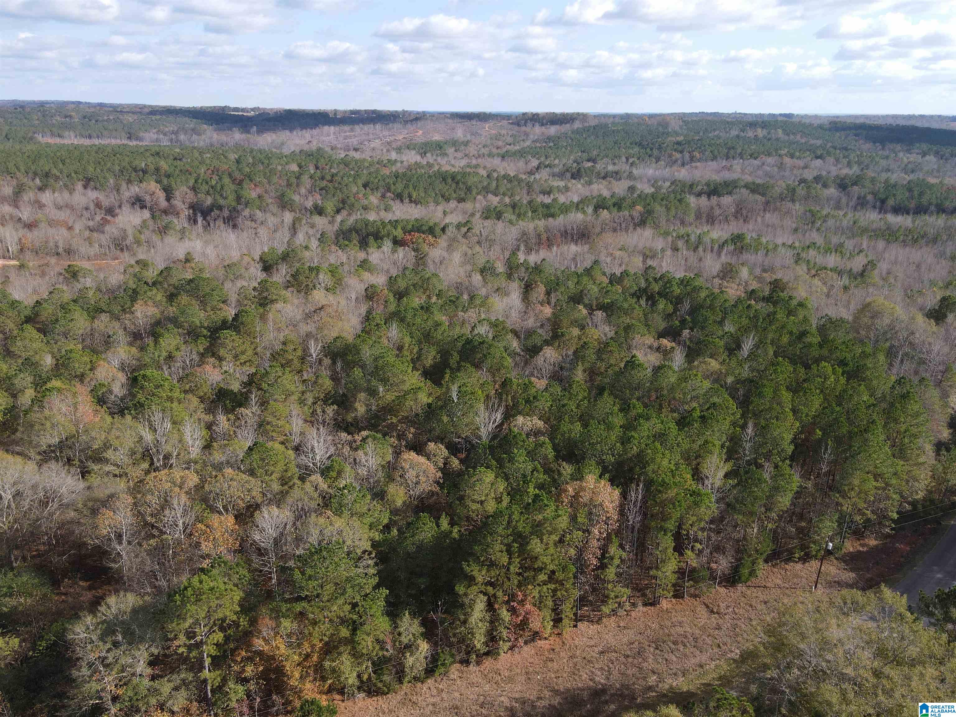 864 County Road Wadley, AL 36276 - Photo 5 of 7