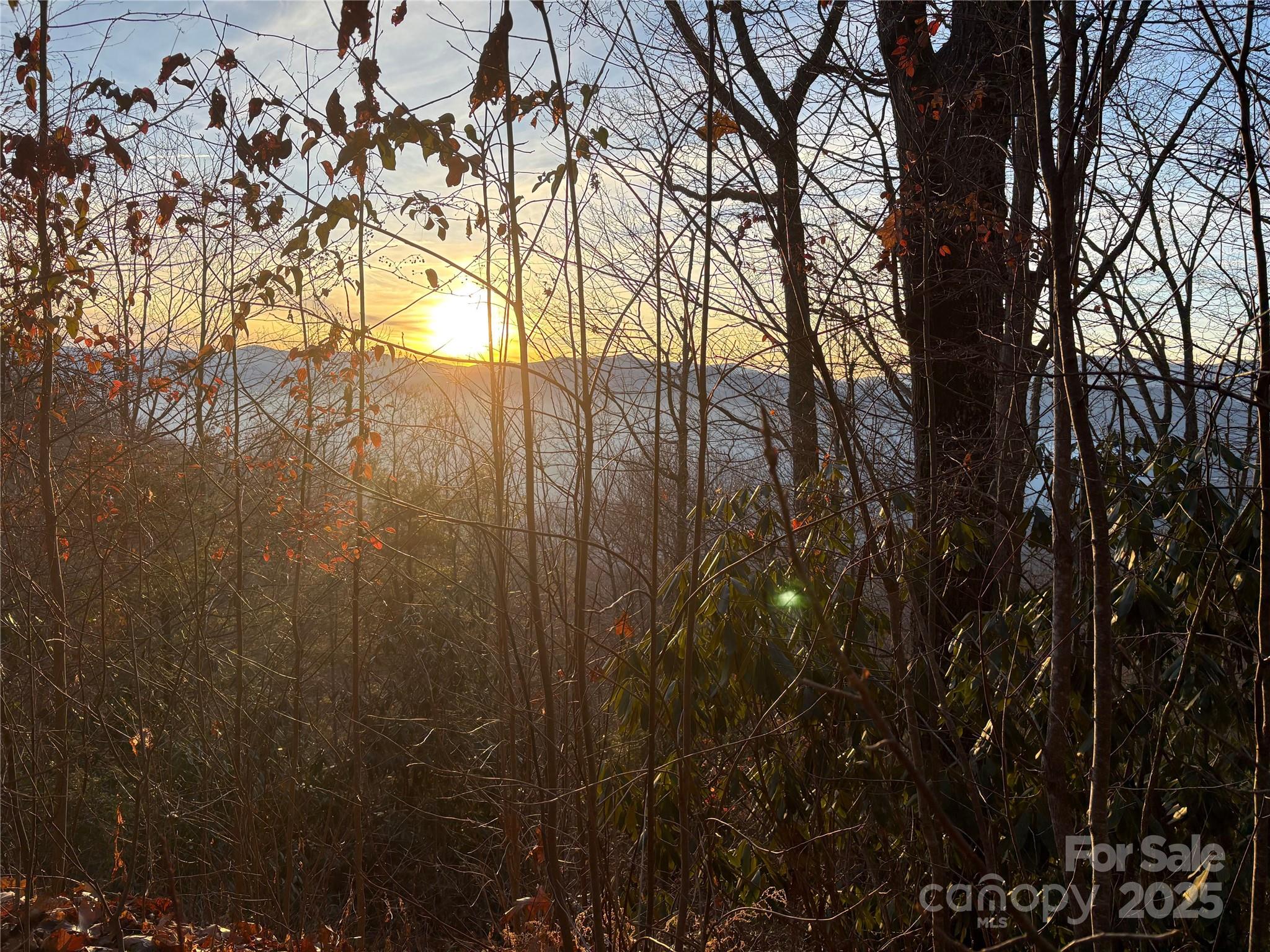 899 Hyacinth Drive Clyde, NC 28721 - Photo 24 of 29