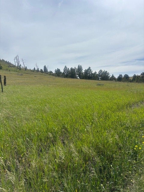 147 Haystack Coulee Road Reed Point, MT 59069 - Photo 5 of 15 Gallery Image 5