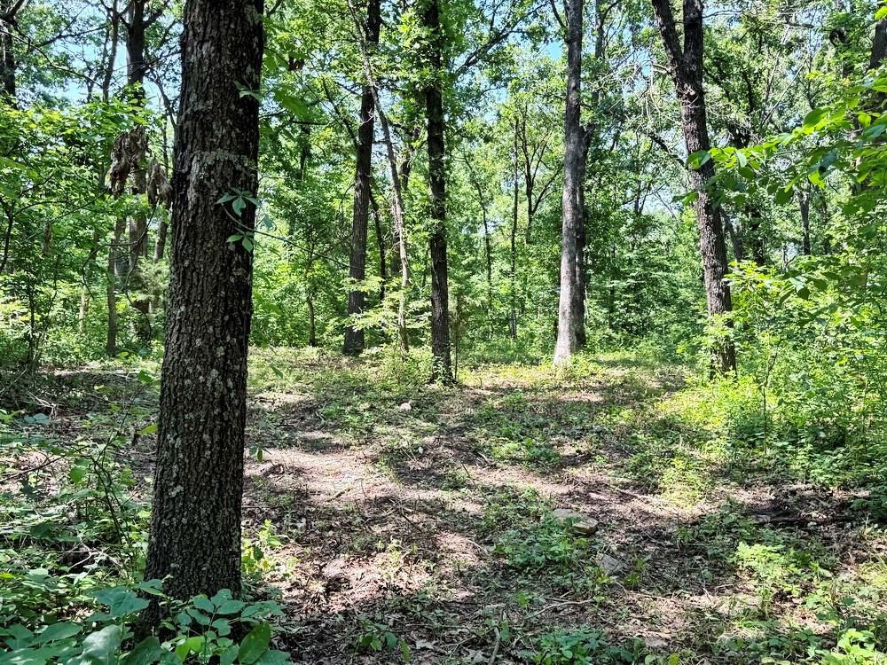 Tbd1 East 1550 Road Jerico Springs, MO 64756 - Photo 8 of 23