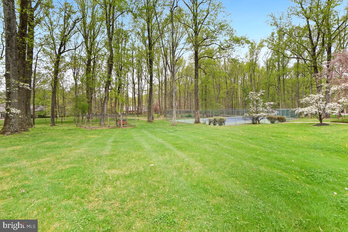 9704 Kendale Road Potomac, MD 20854 - Photo 56 of 70 Serene green oasis with tennis court.