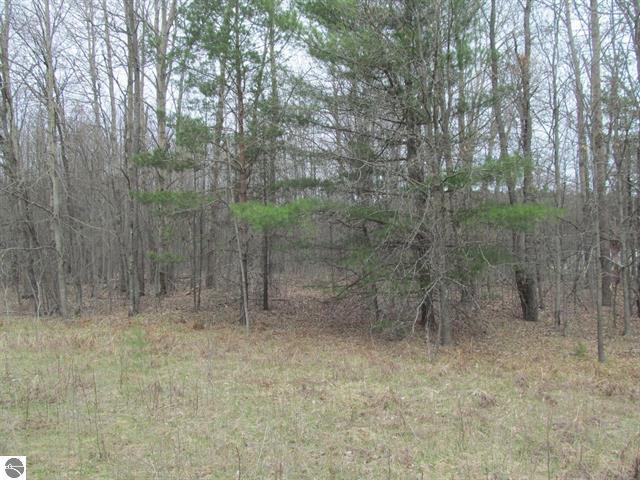 Lot 7 West Blue Road McBain, MI 49657 - Photo 6 of 6 Gallery Image 6