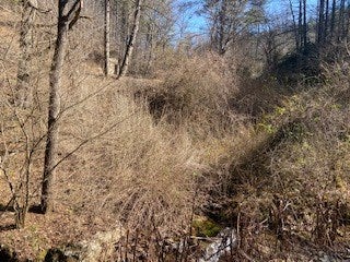 Tbd Lincoln Road, Unit 3 Galax, VA 24333 - Photo 28 of 64 Gallery Image 28