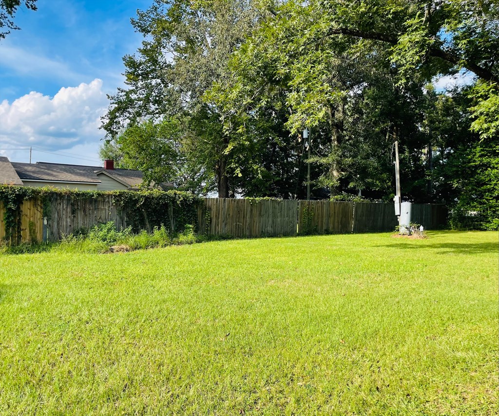 565 West W Highway Newton, AL 36352 - Photo 14 of 26