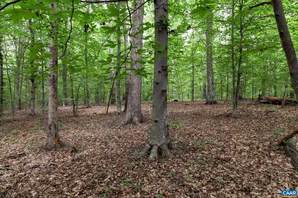 $110,000 | Lot 68 Palmer Place, Unit 68, Ruckersville, VA 22968