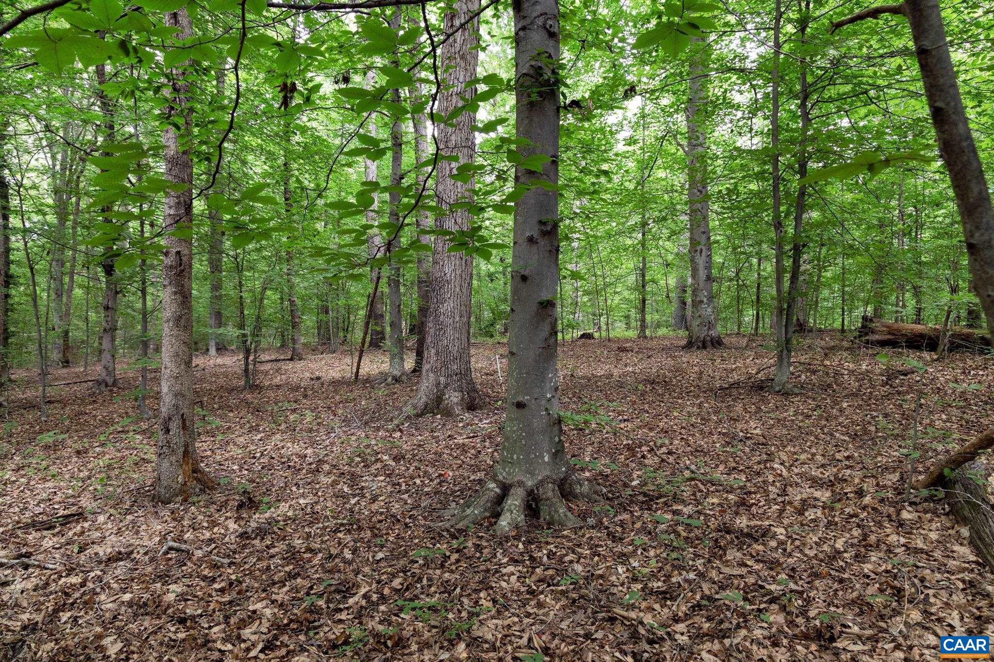 Lot 68 Palmer Place, Unit 68 Ruckersville, VA 22968 - Photo 3 of 15
