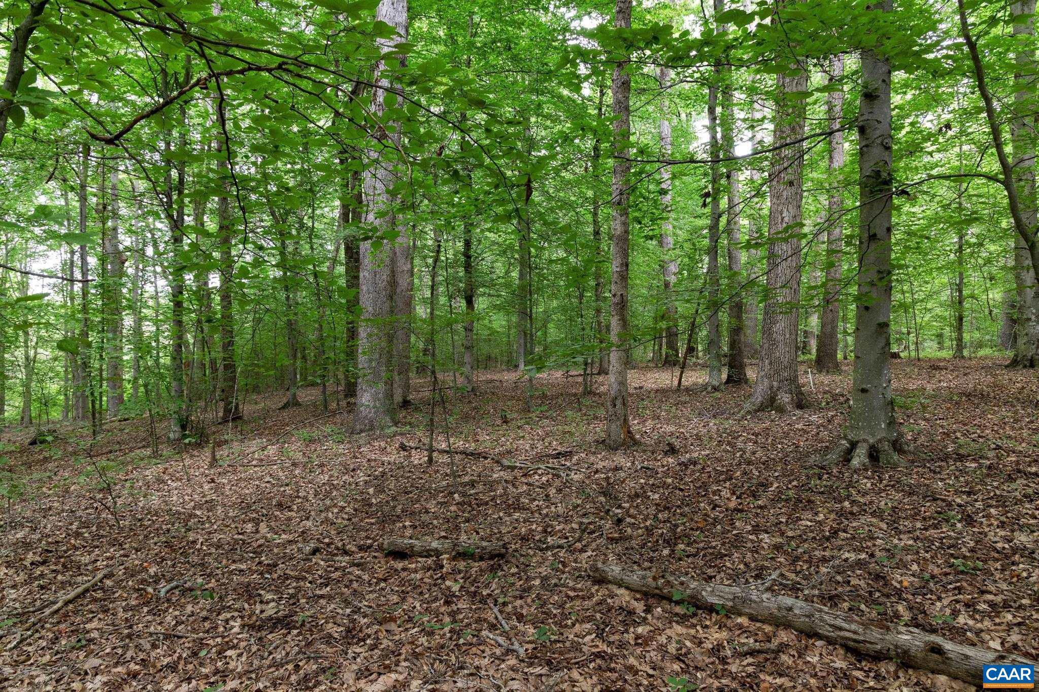 Lot 68 Palmer Place, Unit 68 Ruckersville, VA 22968 - Photo 4 of 15