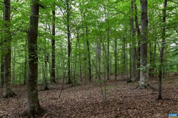 $110,000 | Lot 68 Palmer Place, Unit 68, Ruckersville, VA 22968