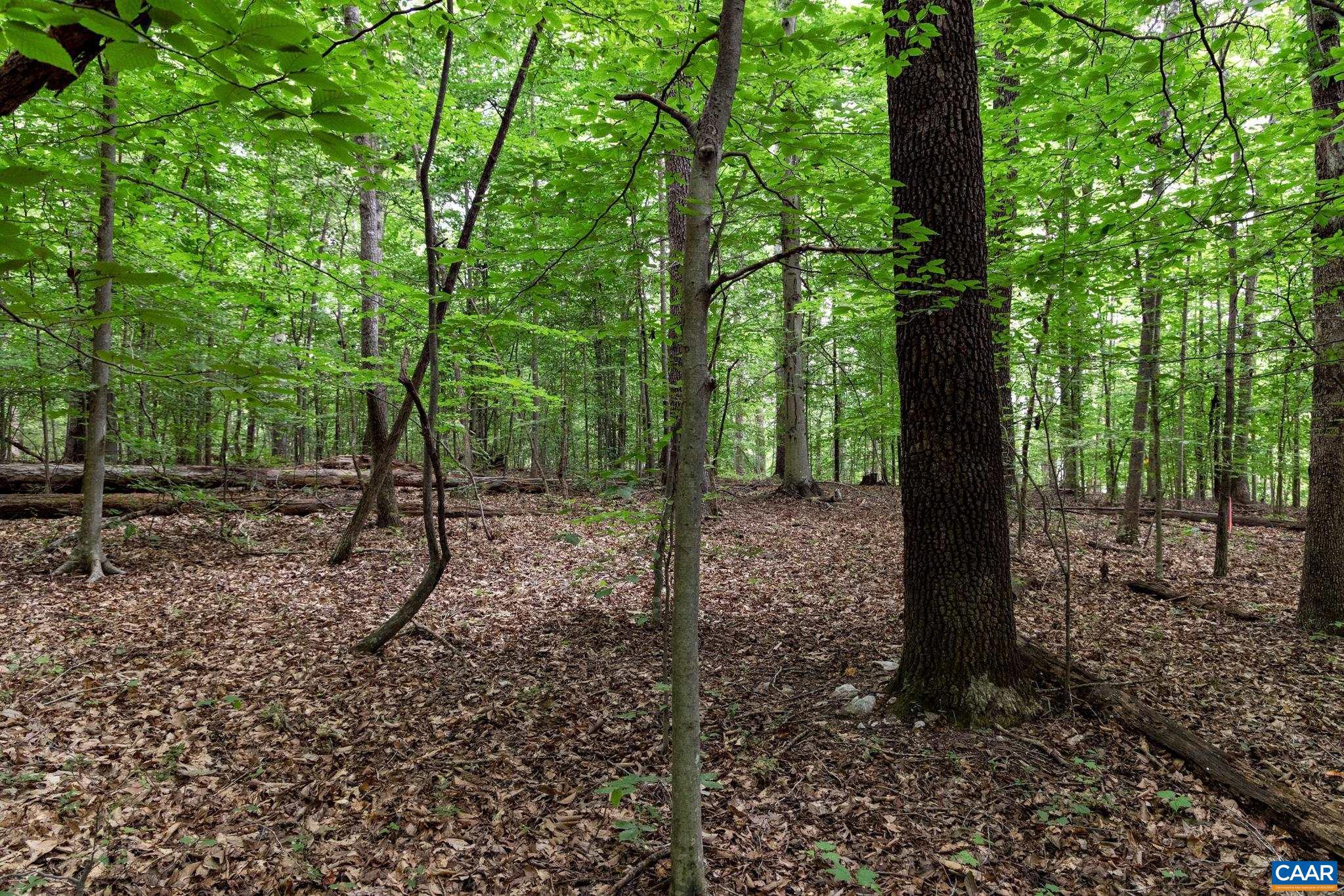 Lot 68 Palmer Place, Unit 68 Ruckersville, VA 22968 - Photo 7 of 15