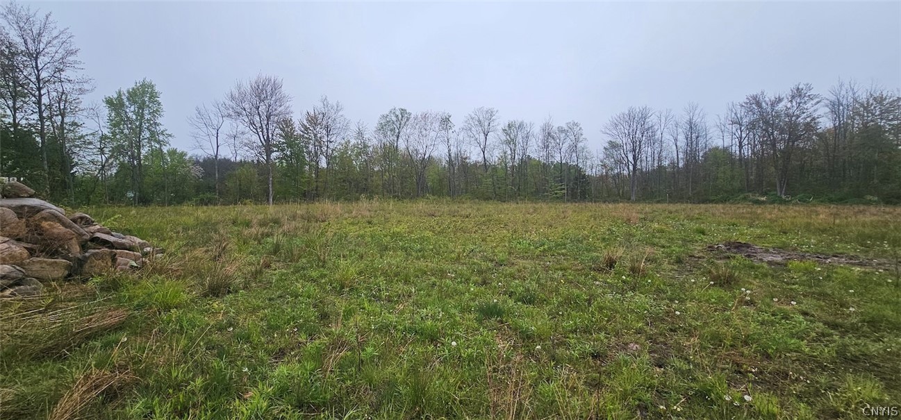 Rotterdam Road Sodus, NY 14551 - Photo 7 of 25