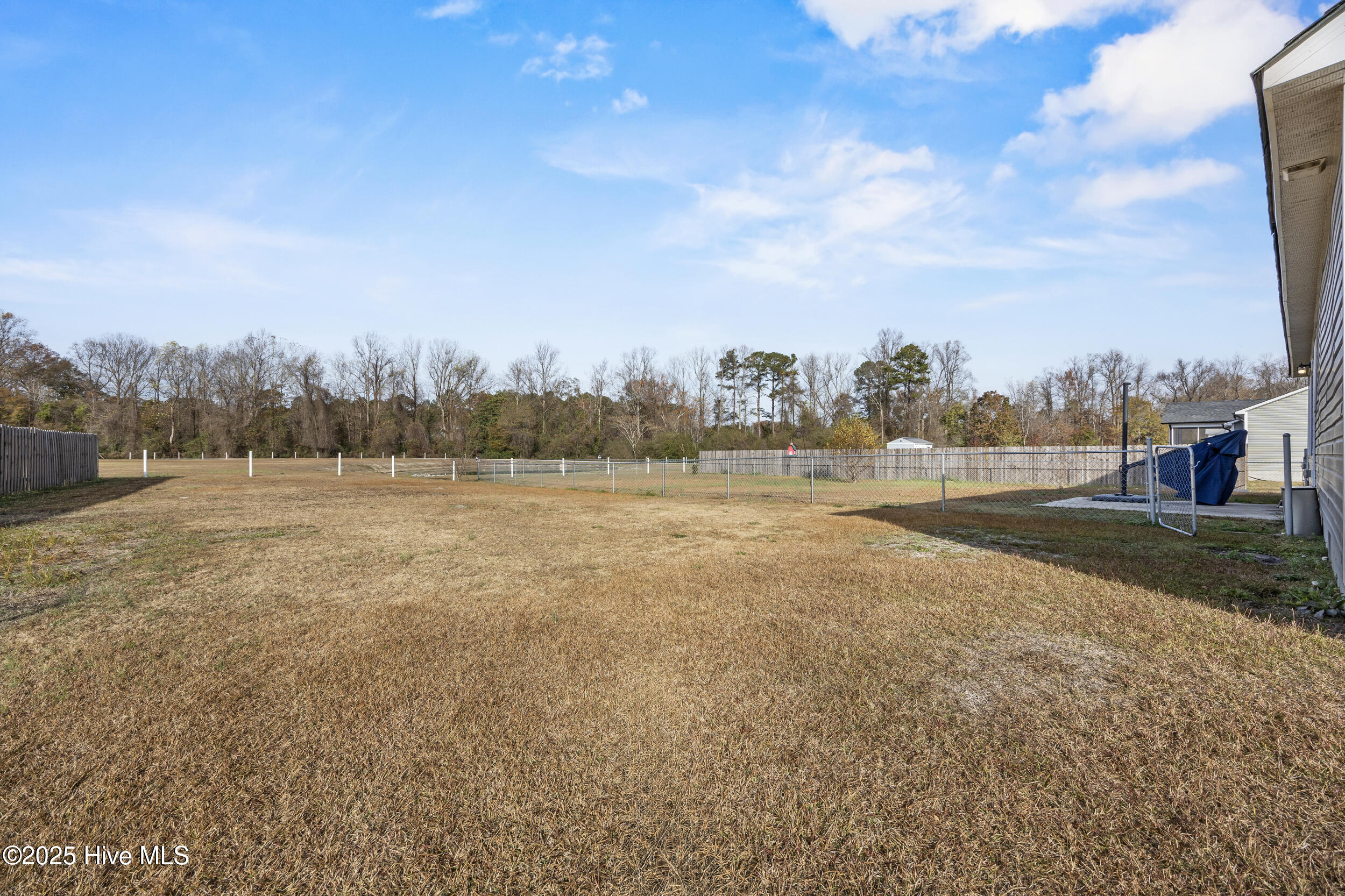 914 Haw Branch Road Beulaville, NC 28518 - Photo 40 of 57 Gallery Image 40