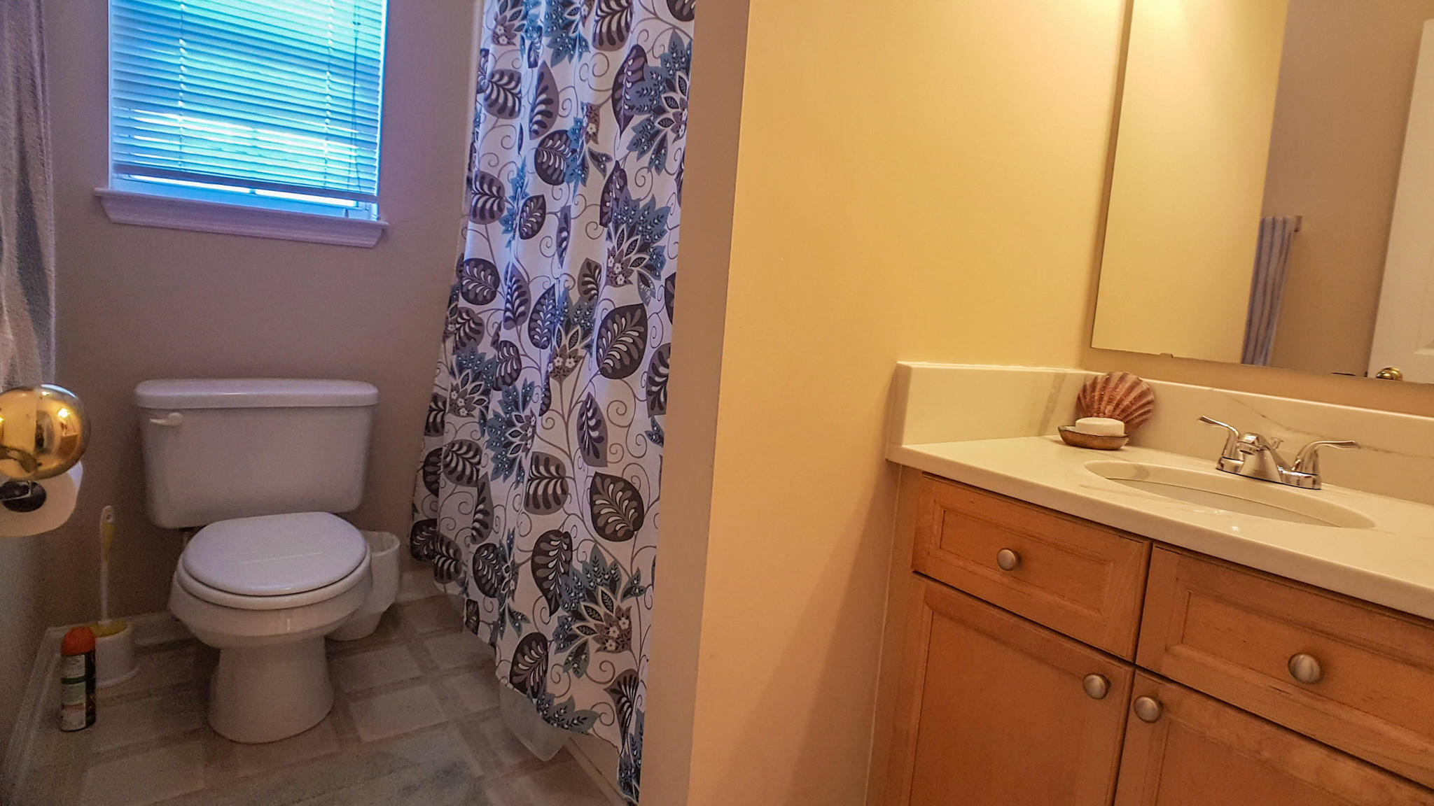 805 Bent Hickory Road Charleston, SC 29414 - Photo 27 of 32 Hall Bath 1