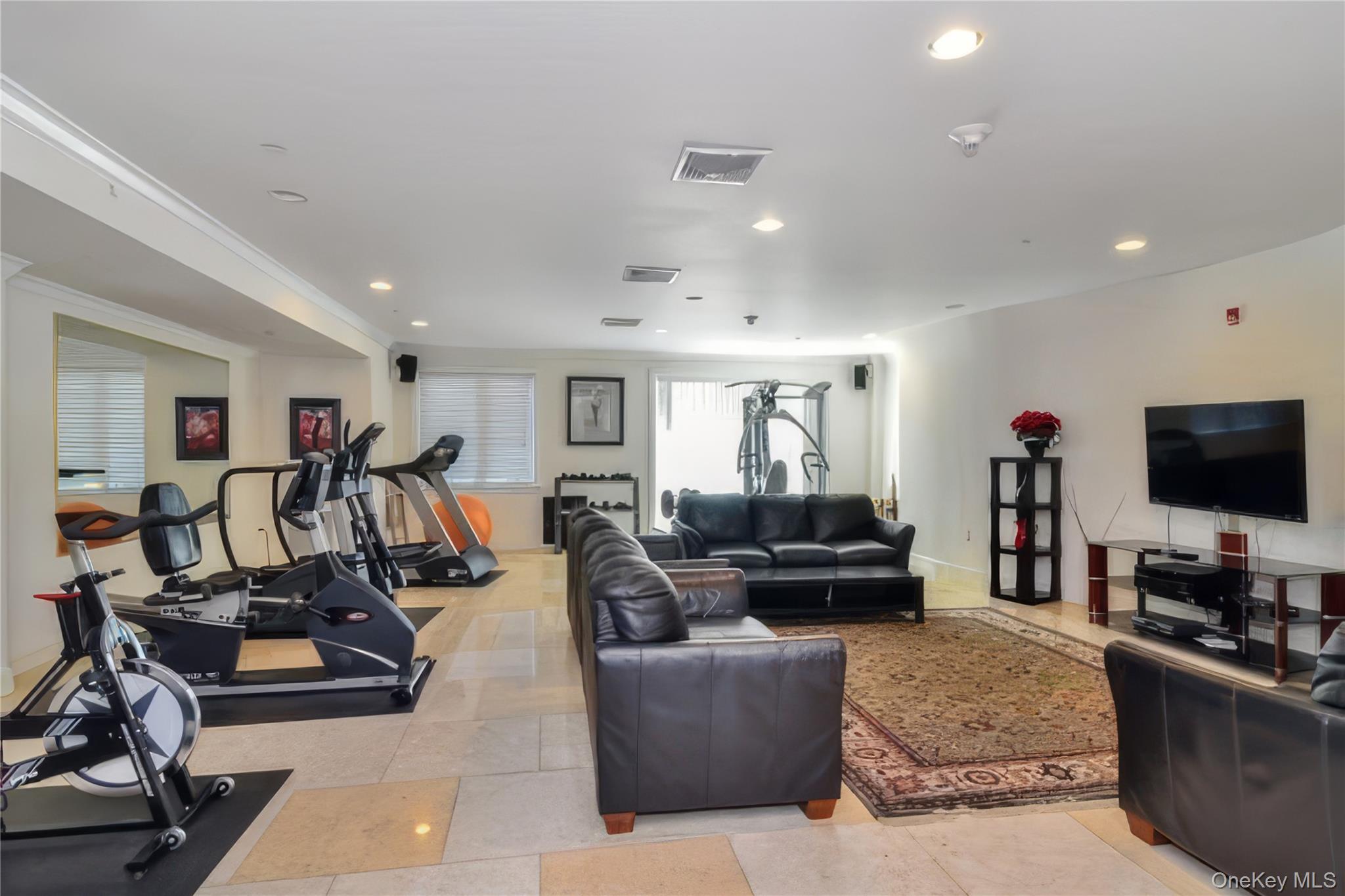 171 Great Neck Road, Unit 4R Great Neck, NY 11021 - Photo 24 of 27 a living room with furniture and a flat screen tv