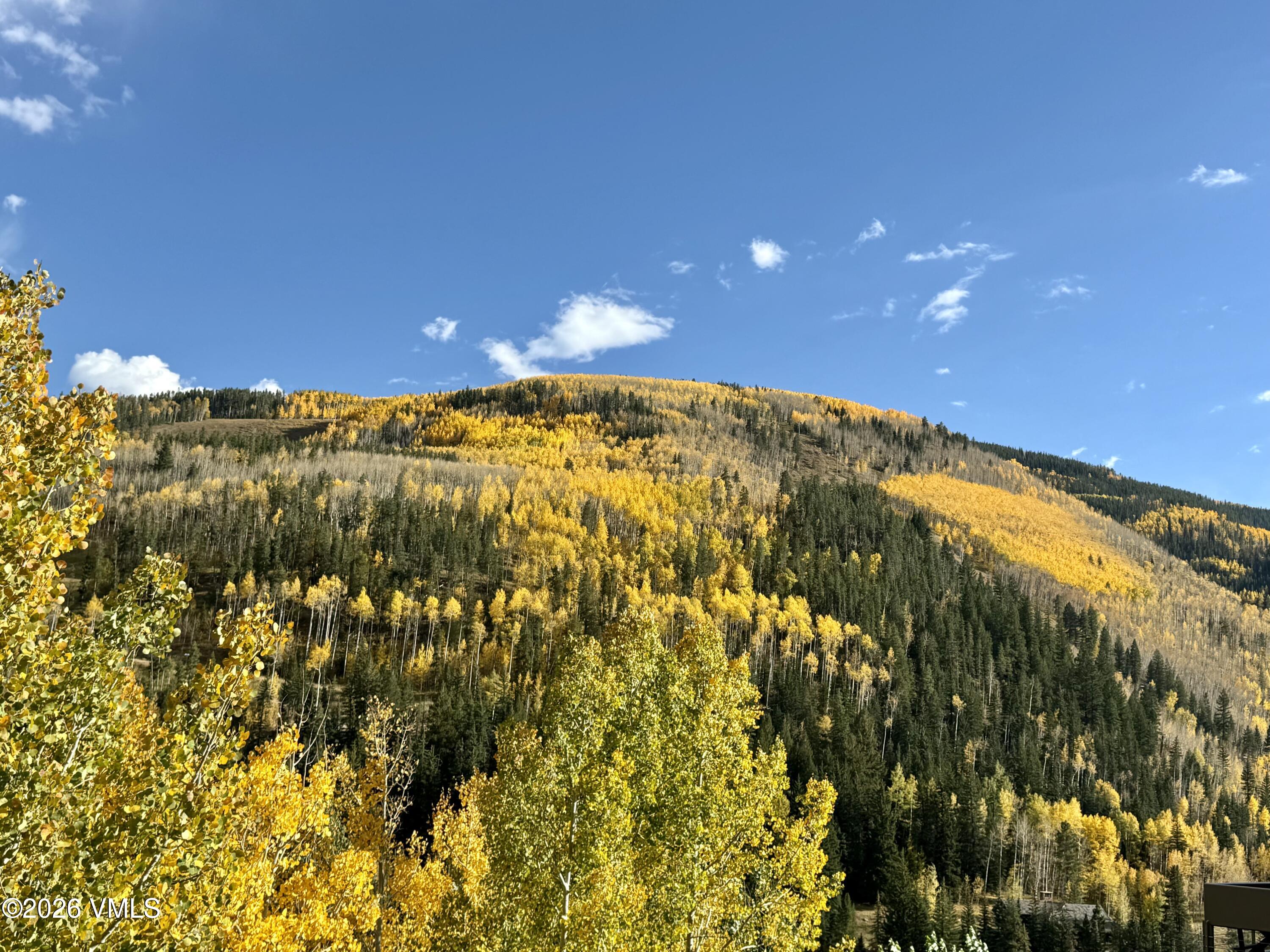 1100 North Frontage Road West, Unit 1519 Vail, CO 81657 - Photo 36 of 38 Fall Views